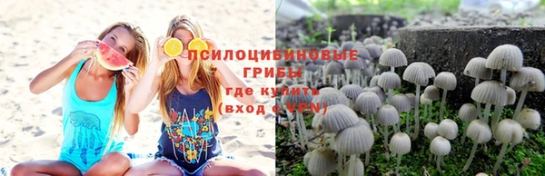 мяу мяу мука Киреевск